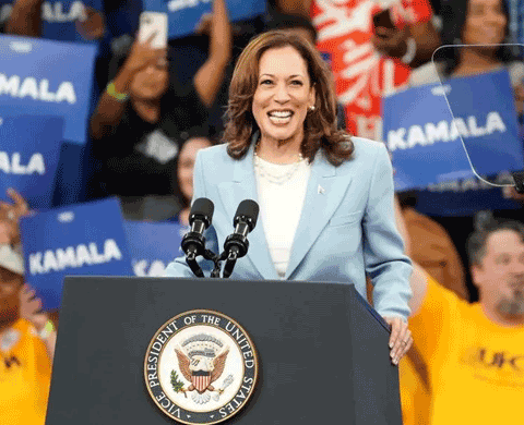 Kamala Harris’ $310 Million Fundraising Haul Shows The Power Of A Diversity Strategy