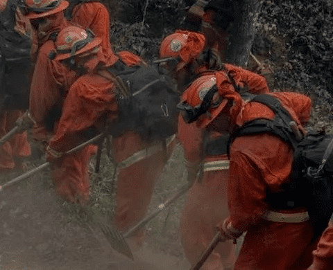 Due To “Slavery Clause,” 30% Of LA Fires Are Being Fought By Inmates